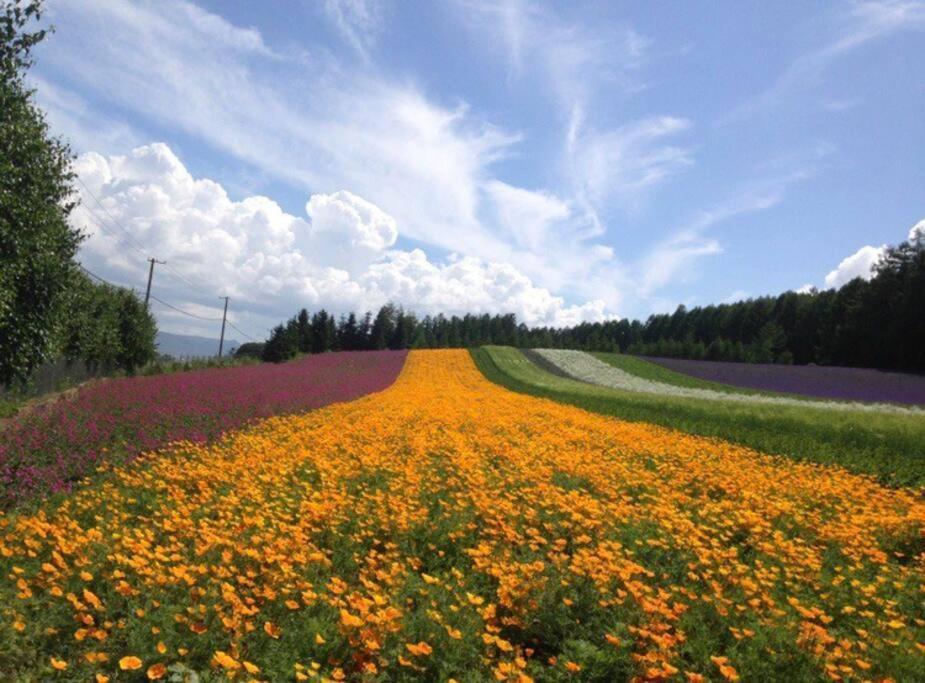 Furano House, Jr Station, 2F Apartment, 3 Bedrooms, Max 8Pp - 6 Adults 2 Kid, Onsite Parking Extérieur photo